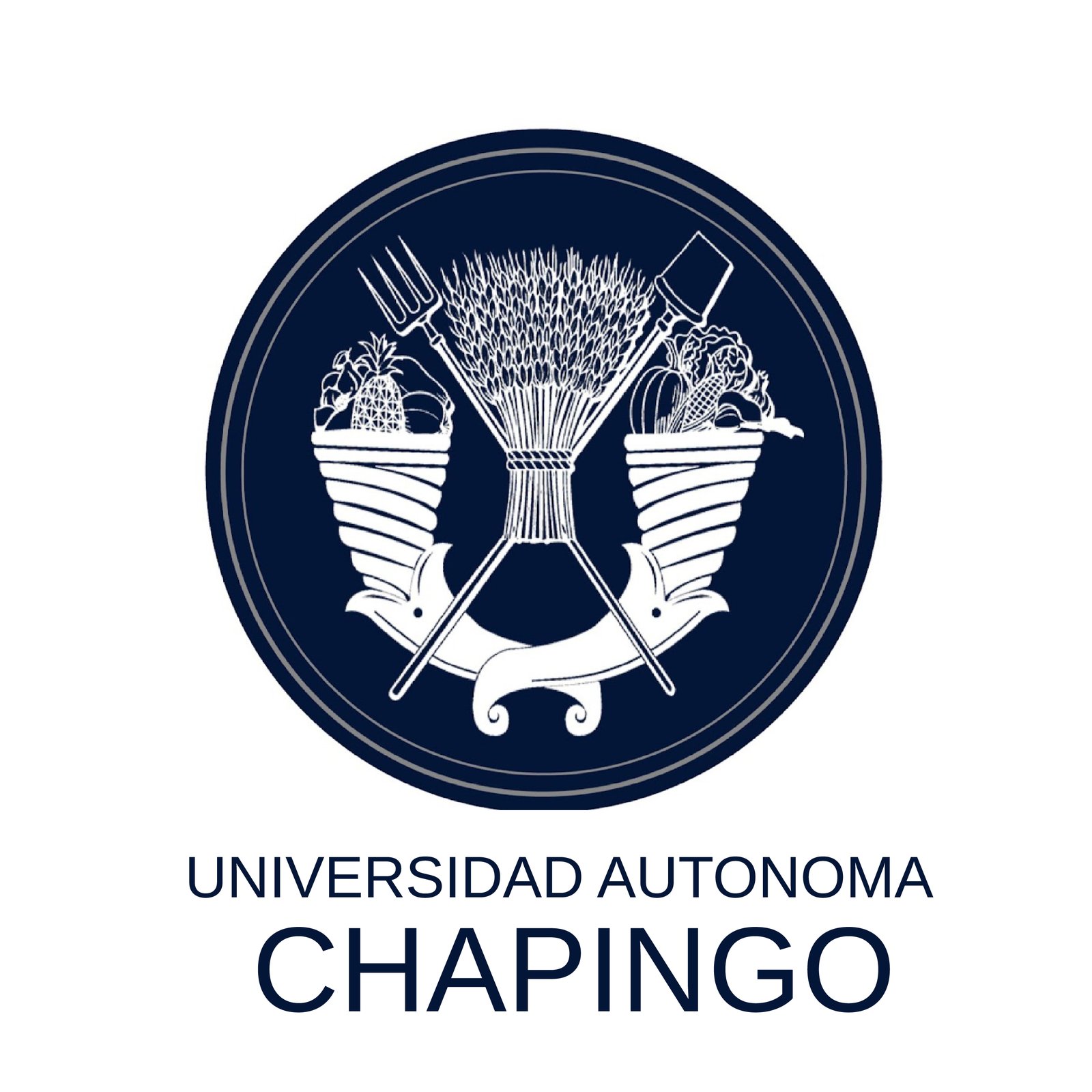 Universidad Autónoma Chapingo